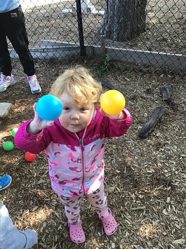 A toddler is holding up a blue and a yellow ball.