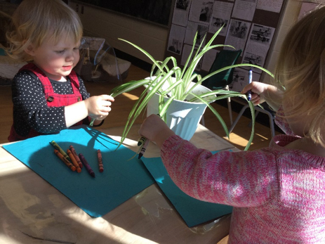 girls touch a plant as they draw