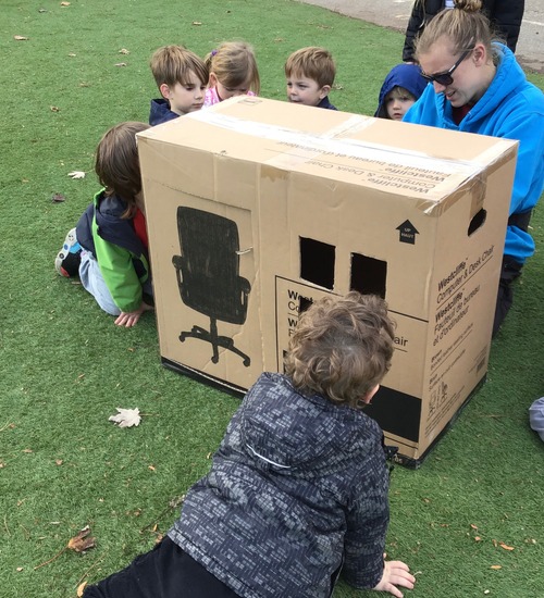 children observing cutting a box