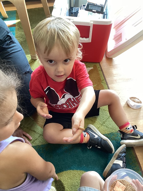child holding a bug in their hand