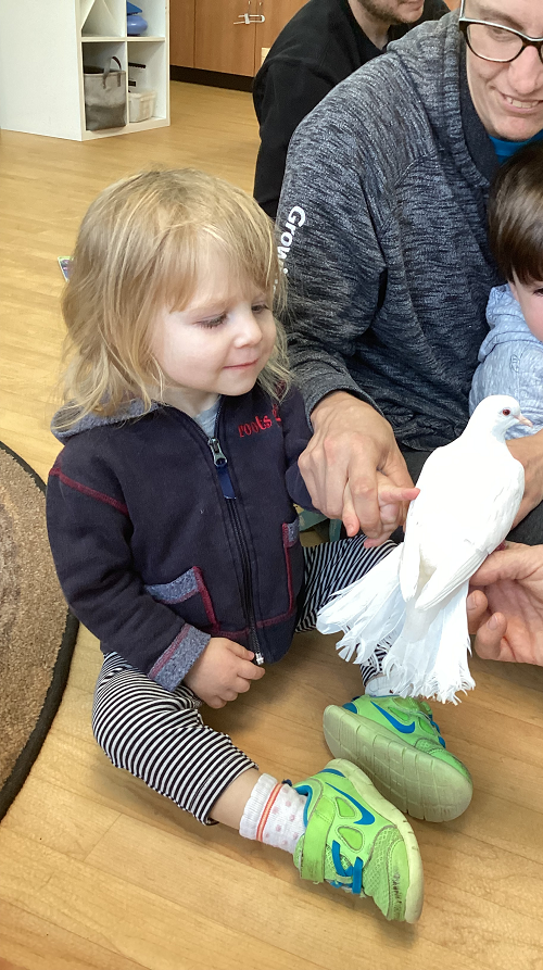 child viewing the dove