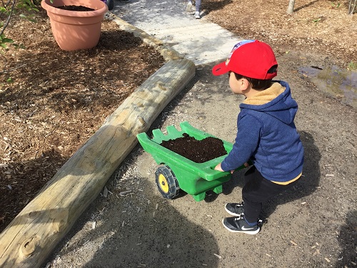 Child delivering soil to the large pot. 
