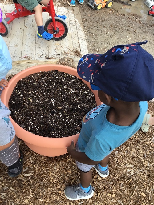 Child observing planter filled with soil 