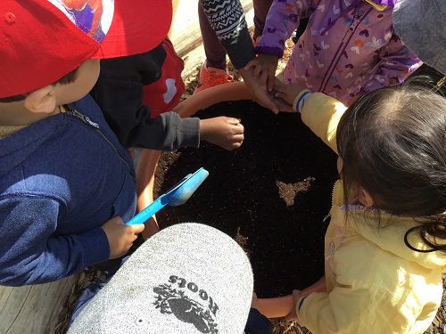 Children working together to plant the seeds in the soil. 