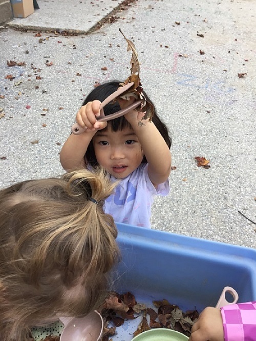 Child holding up a leaf with tongs while children exploring with leaves in the sensory bin. 