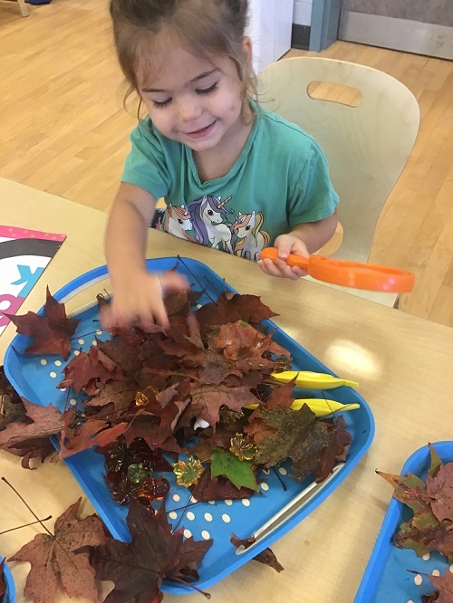 Child pretending to make soup with fall leaves. 