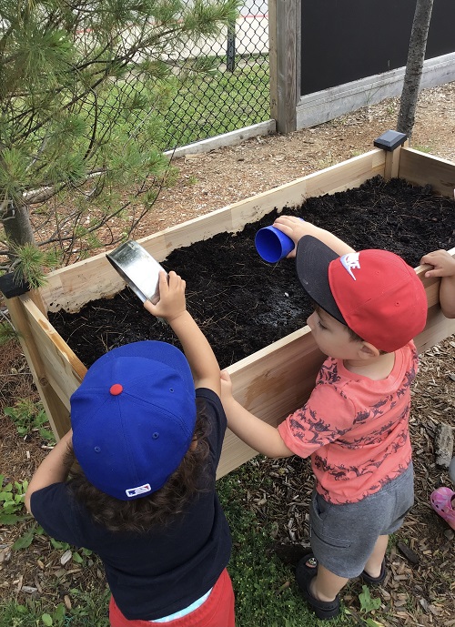 Children watering the soil.