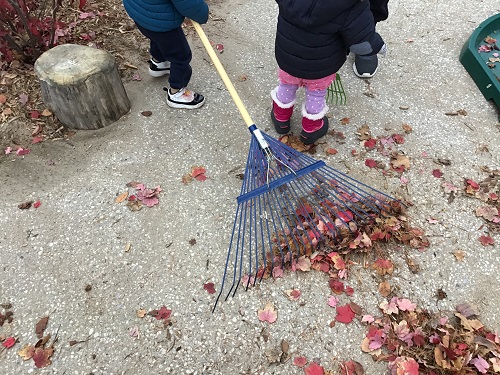 Children raking leaves into a pile.