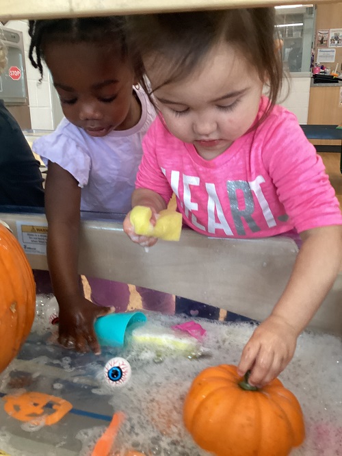 Toddlers cleaning pumpkins in a sensory bin