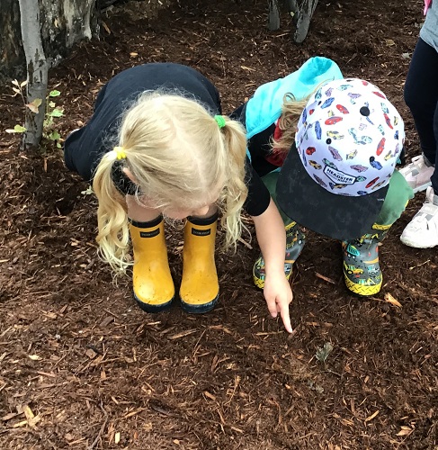 Two Preschoolers pointing at and digging in the dirt