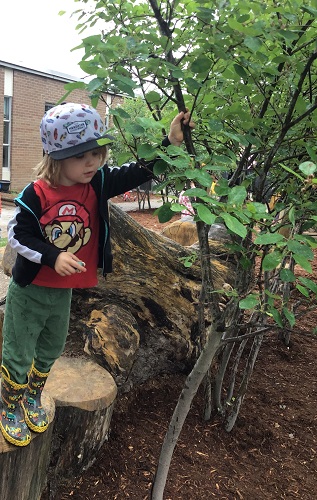 Preschooler shaking the water out of the tree