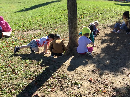 Children looking for bugs