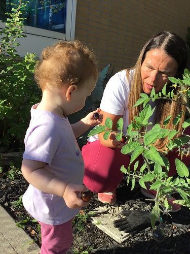 An infant and educator picking cherry tomatoes together