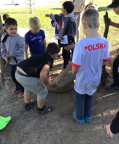 School age group working together to move a big rock from the ground