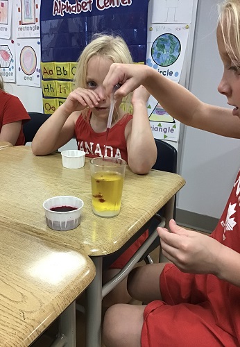 A child using an eye dropper to add vinegar to oil and baking soda