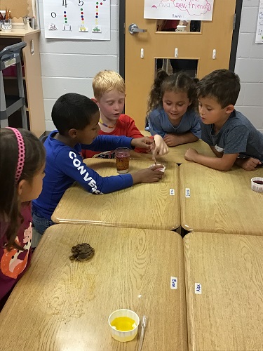 A small group of children adding coloured vinegar to a glass of oil and baking soda