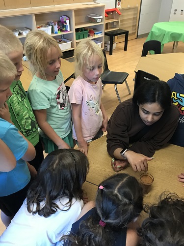 A educator and children doing an experiment about hydrophobic substances by dipping their finger in water with cinnamon powder in it
