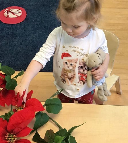 A child looking at Pointsettia decoration